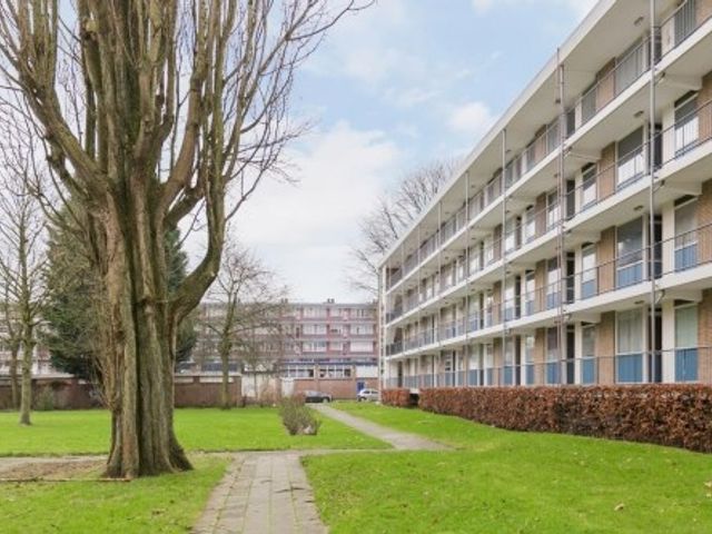 Ogierssingel , Rotterdam