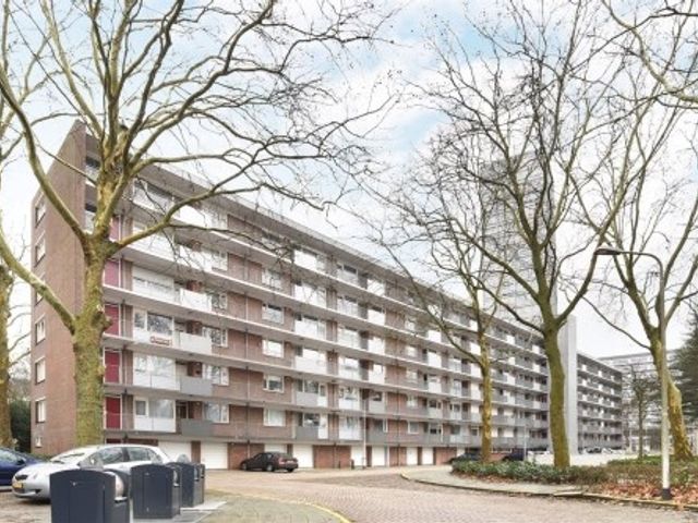 Cederstraat , Tilburg