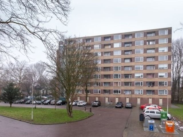Fluitekruidweg , Zaandam