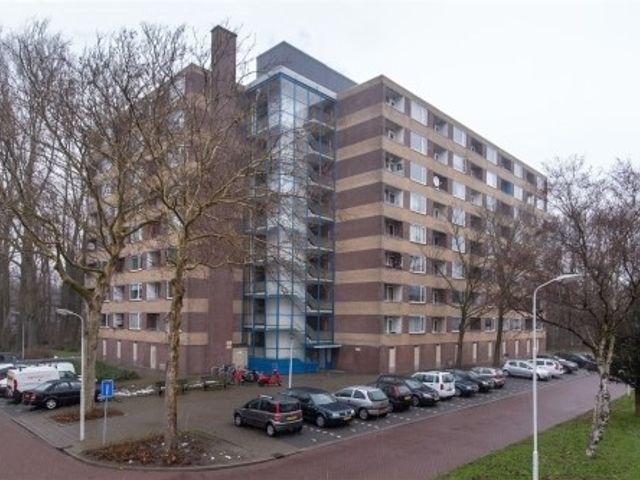 Fluitekruidweg , Zaandam