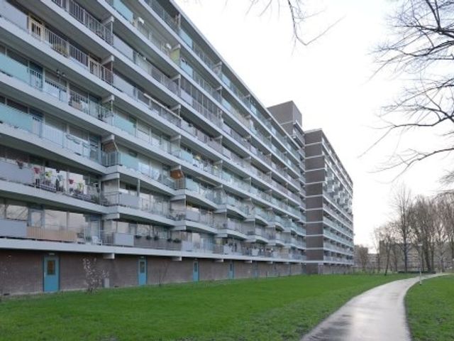 Belvédèrebos , Zoetermeer