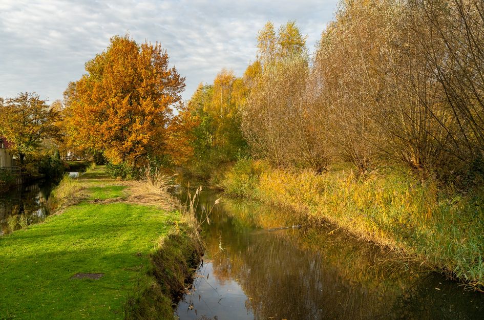 Burgemeester van der Klokkenlaan 47