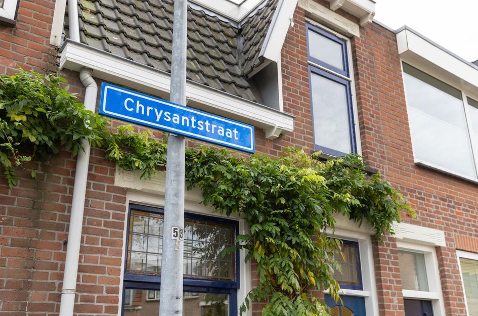 Chrysantstraat 22