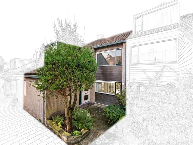 Steurendaal 39, 'S-Gravenhage