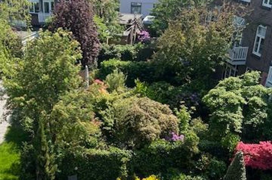 van Sevenbergestraat 8