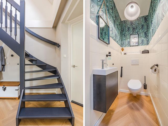 Meerkoet 5, Terneuzen