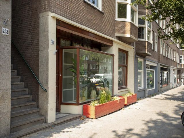 Rijnstraat 234, Amsterdam