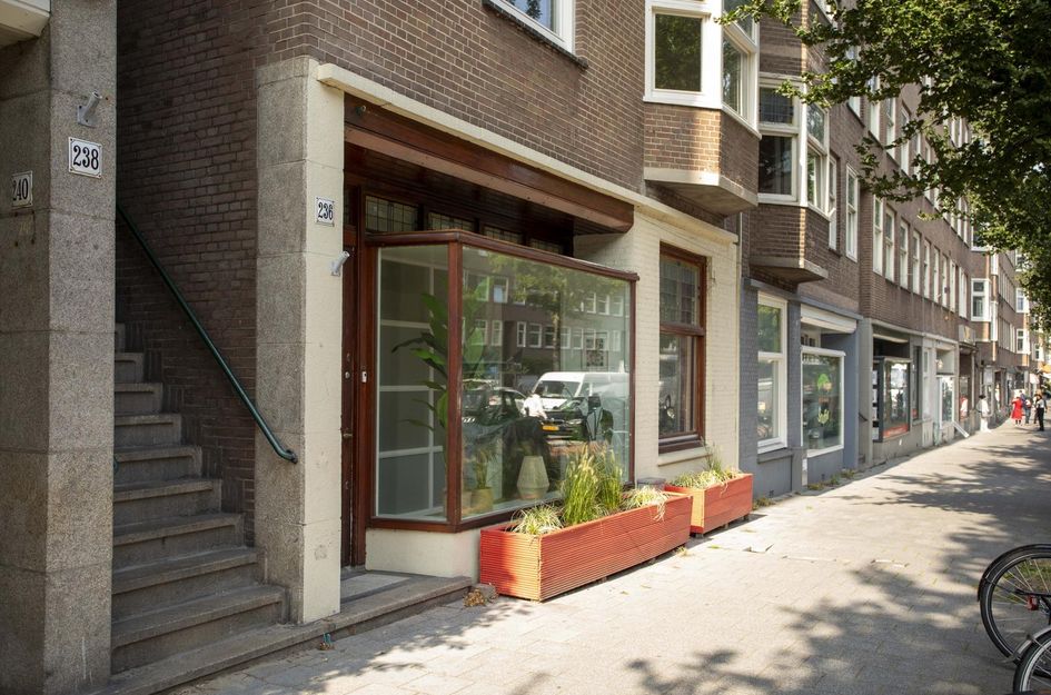 Rijnstraat 234