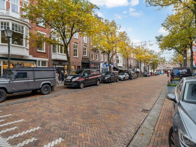 Frederik Hendriklaan 245A, Den Haag