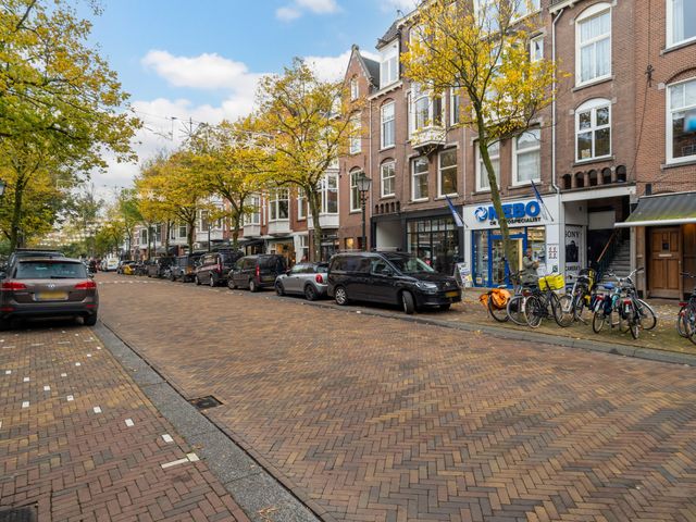 Frederik Hendriklaan 245A, Den Haag