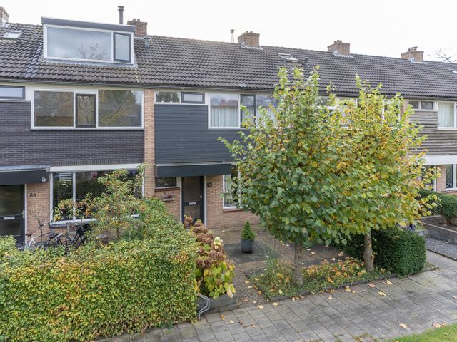 Meerkoetstraat 66, Ermelo