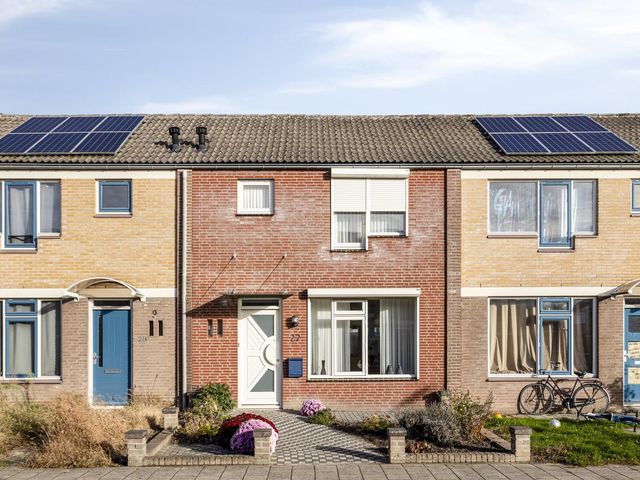 Olmenstraat 27, Vogelwaarde