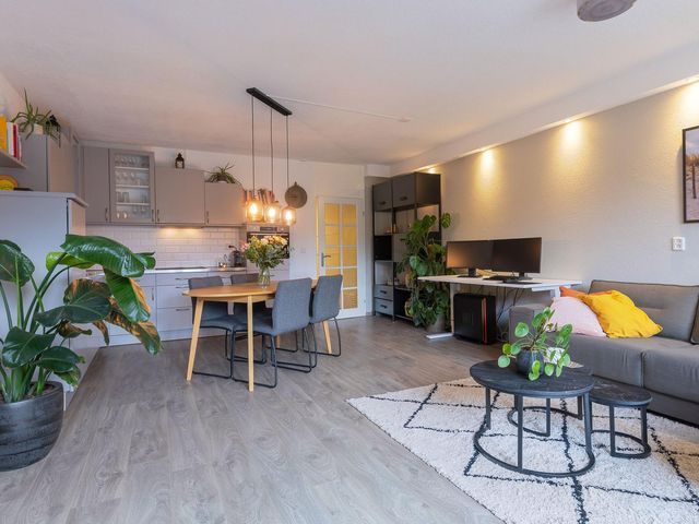 De Wieken 100, Hoorn