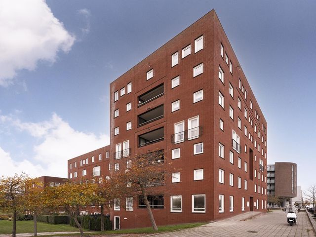 Ladogameerhof 297, Amsterdam