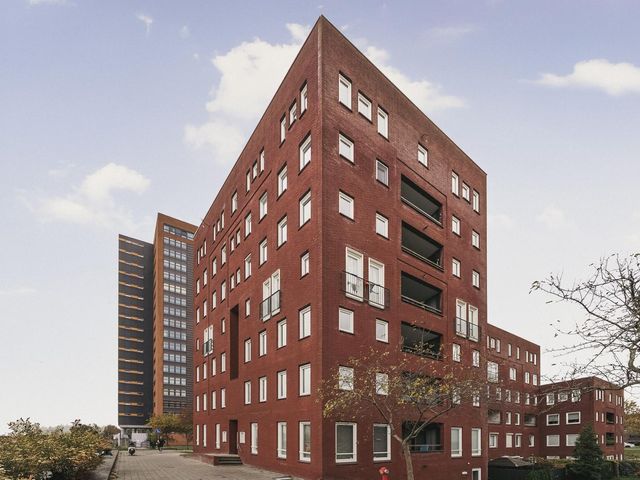 Ladogameerhof 297, Amsterdam