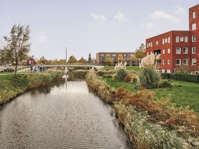 Ladogameerhof 297, Amsterdam