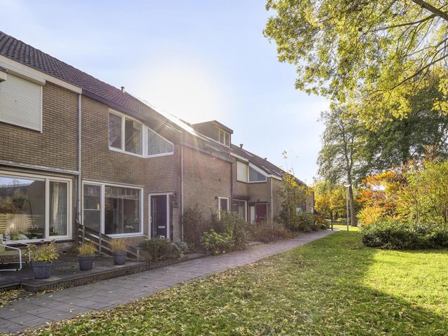 Grasgors 3, Mijnsheerenland