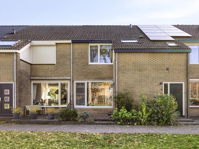 Grasgors 3, Mijnsheerenland