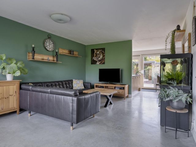 Grasgors 3, Mijnsheerenland