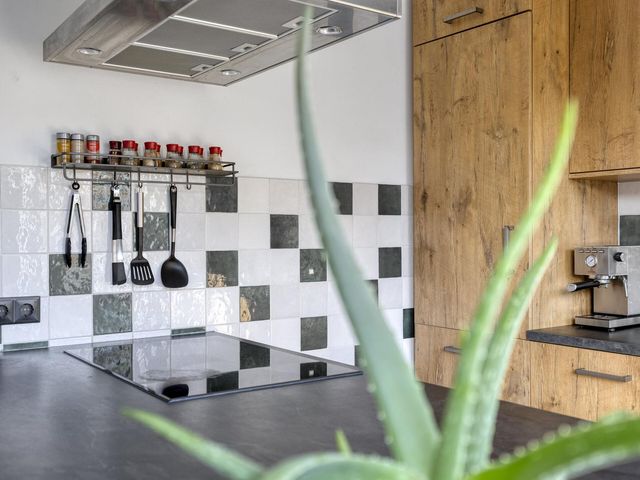 Grasgors 3, Mijnsheerenland