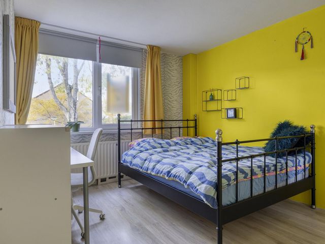 Grasgors 3, Mijnsheerenland