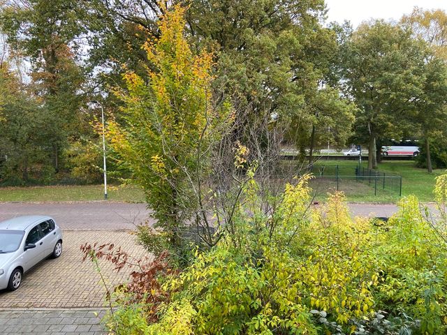 Sonatestraat 61, Nijmegen