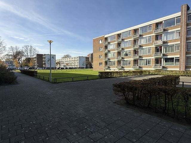 Stellendamstraat 69B, Rotterdam