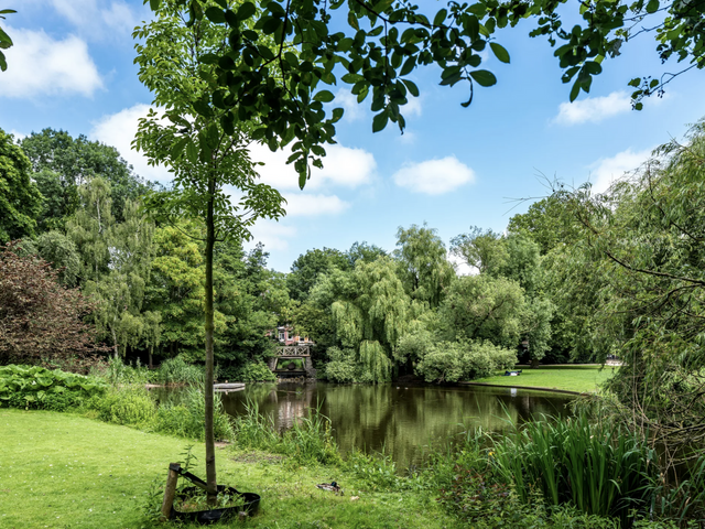 Van Woustraat 45 2, Amsterdam