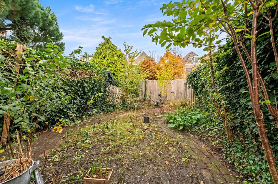 Willem Beukelszoonplein 26