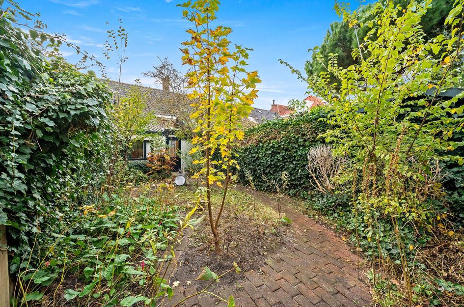 Willem Beukelszoonplein 26