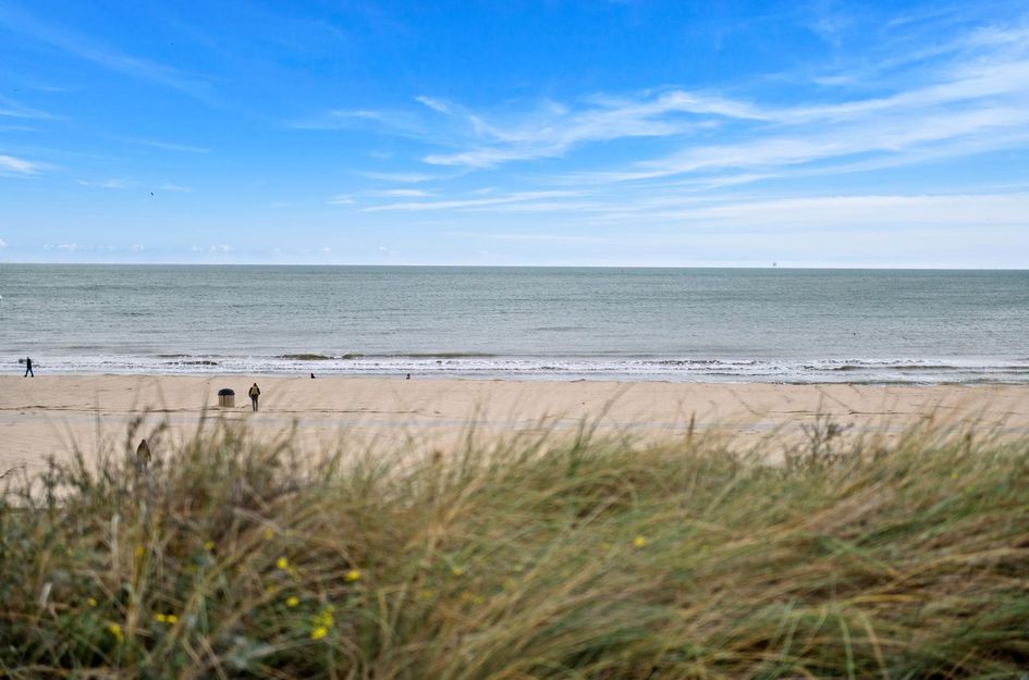 Willem Beukelszoonplein 26