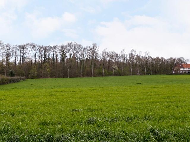 Barbarahof 20a, Born