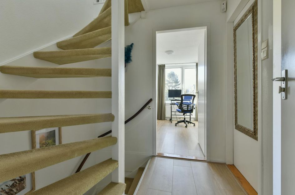 Graan voor Visch 15206