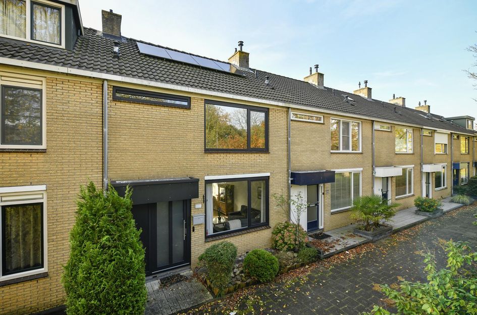 Graan voor Visch 15206