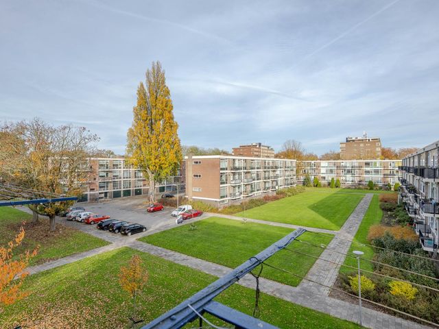 Schoonegge 285, Rotterdam