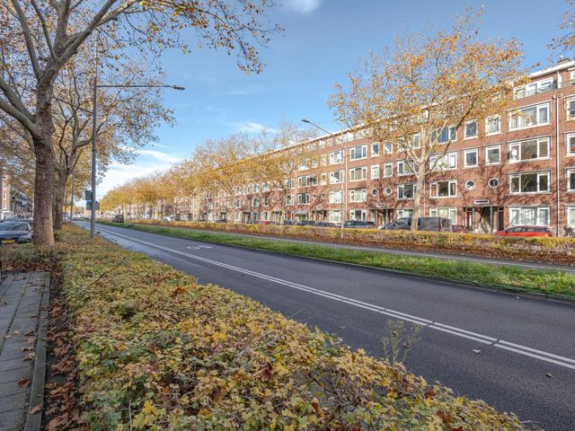 Pleinweg 91D, Rotterdam