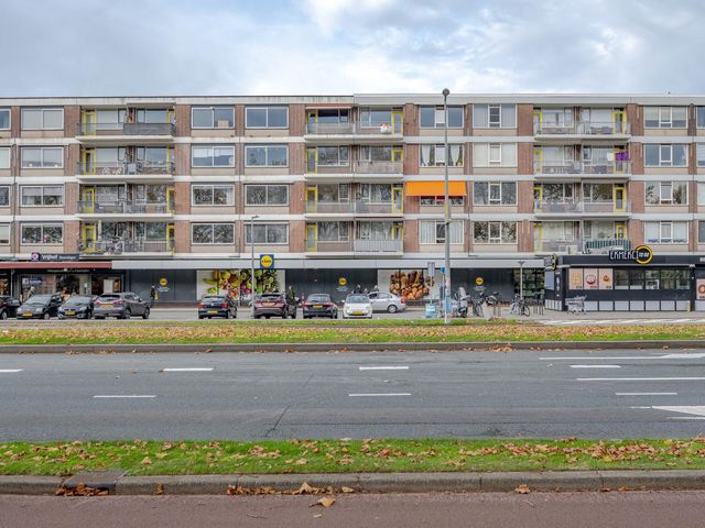 Spinozaweg 169, Rotterdam