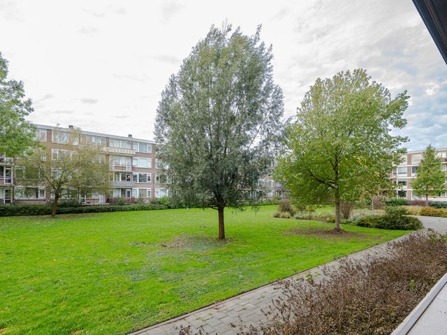 Augustinusstraat 35, Rotterdam