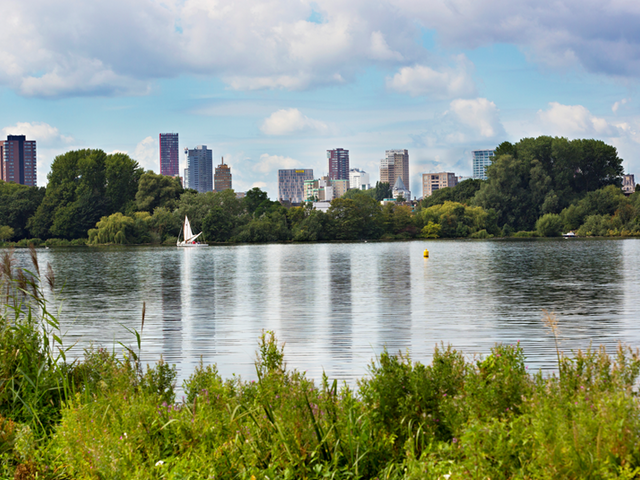 Schapendreef 193, Rotterdam