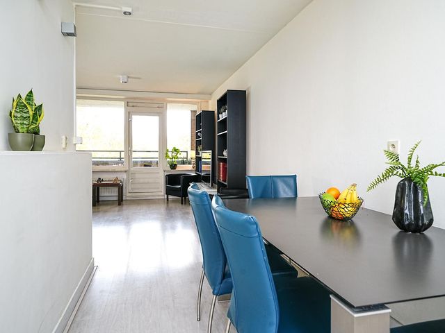 Schapendreef 193, Rotterdam