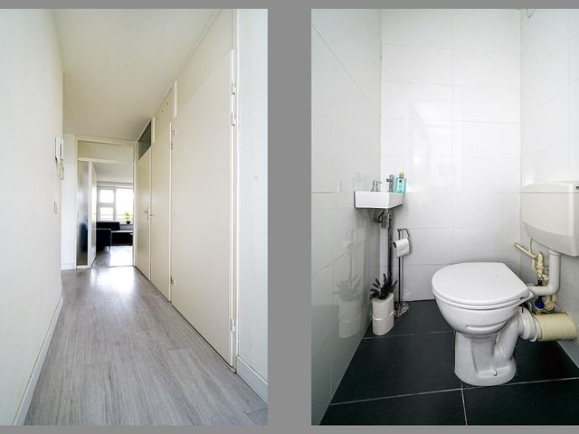 Schapendreef 193, Rotterdam