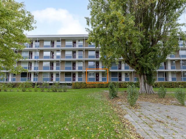 Ogierssingel 113, Rotterdam