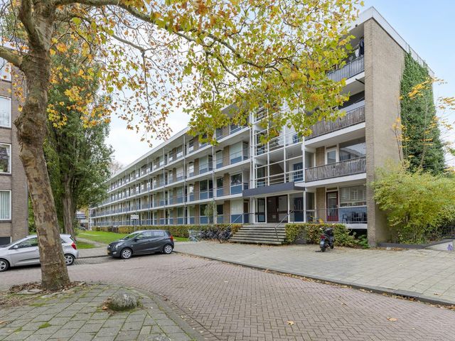 Ogierssingel 113, Rotterdam