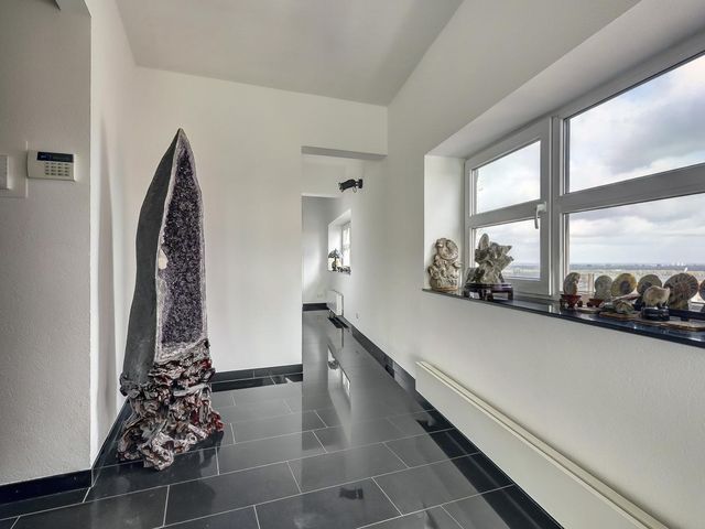 Wijnbrugstraat 367, Rotterdam