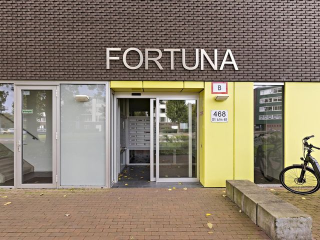 Siersteenlaan 468 21, Groningen