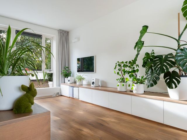 Teilingerstraat 51K, Rotterdam