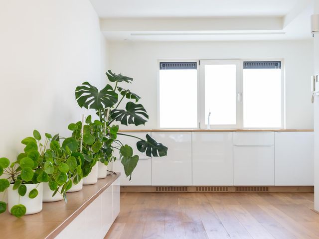 Teilingerstraat 51K, Rotterdam