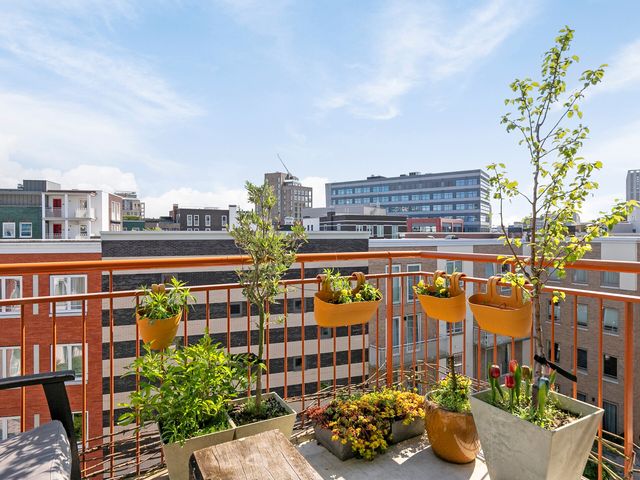 Bart Van Der Leckhof 74, Diemen