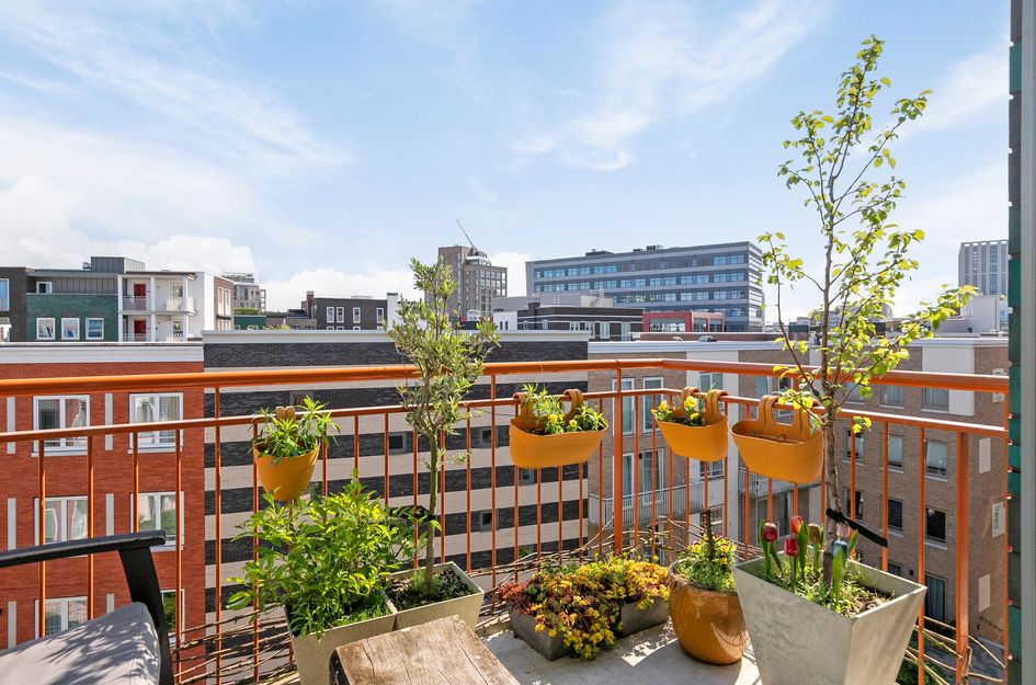 Bart Van Der Leckhof 74