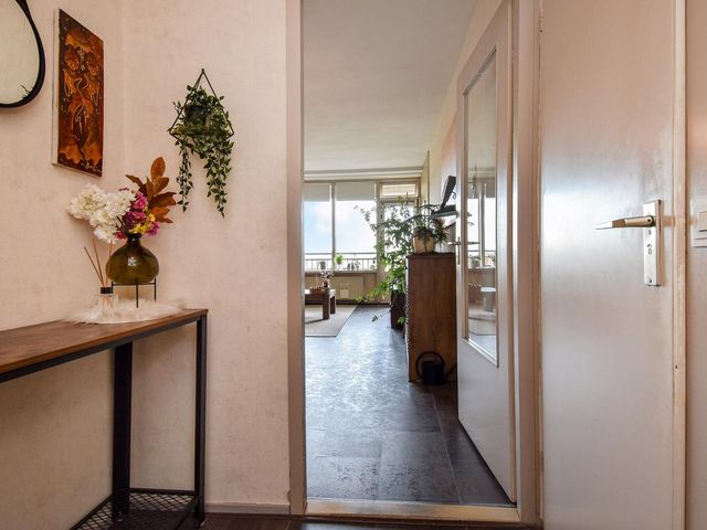 Rodelaan 231, Voorburg